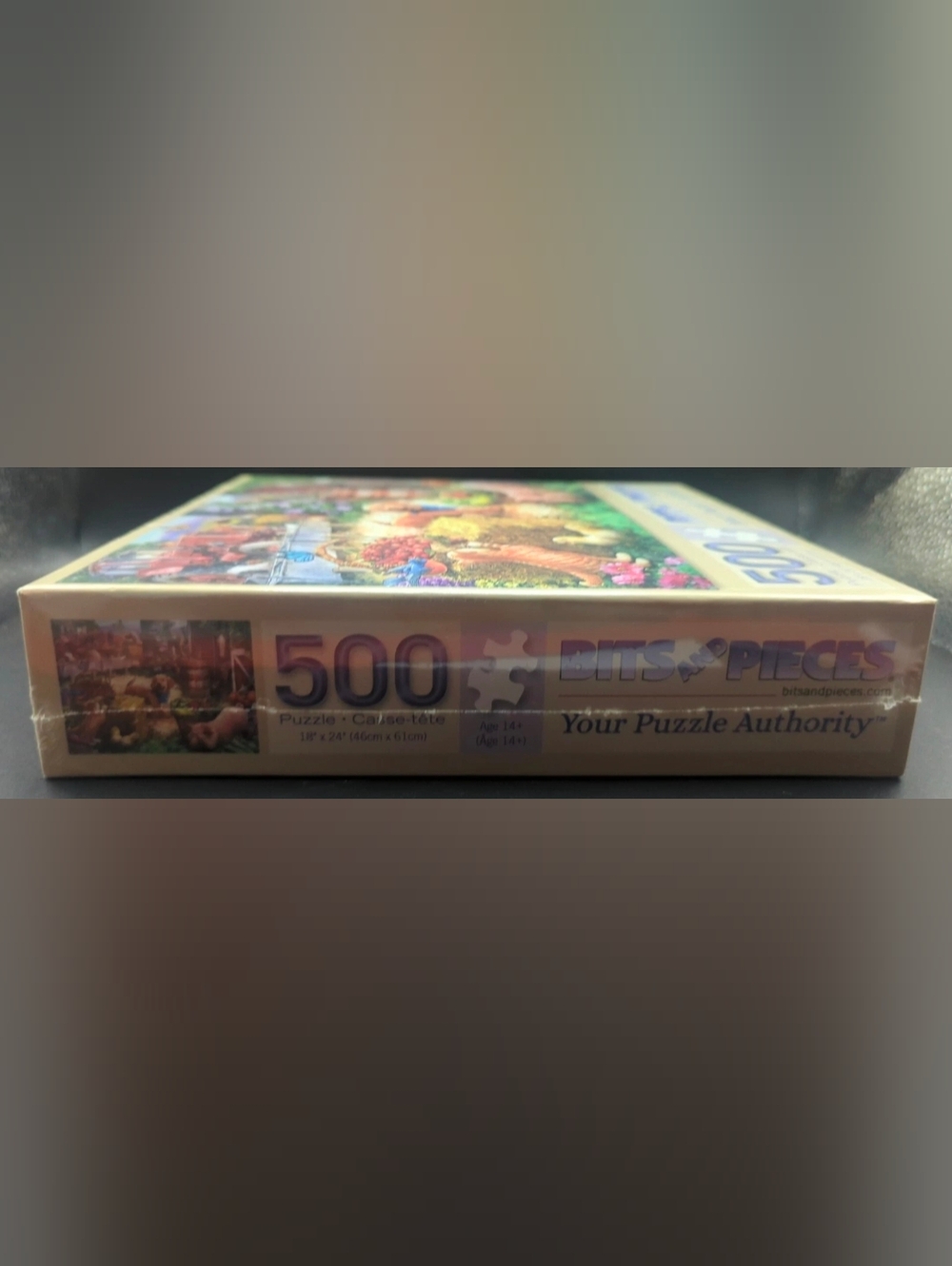 Sealed- Bits and Pieces - 500 Piece Jigsaw Puzzle - Hide and Seek - 18" x 24" - Picture 3 of 6